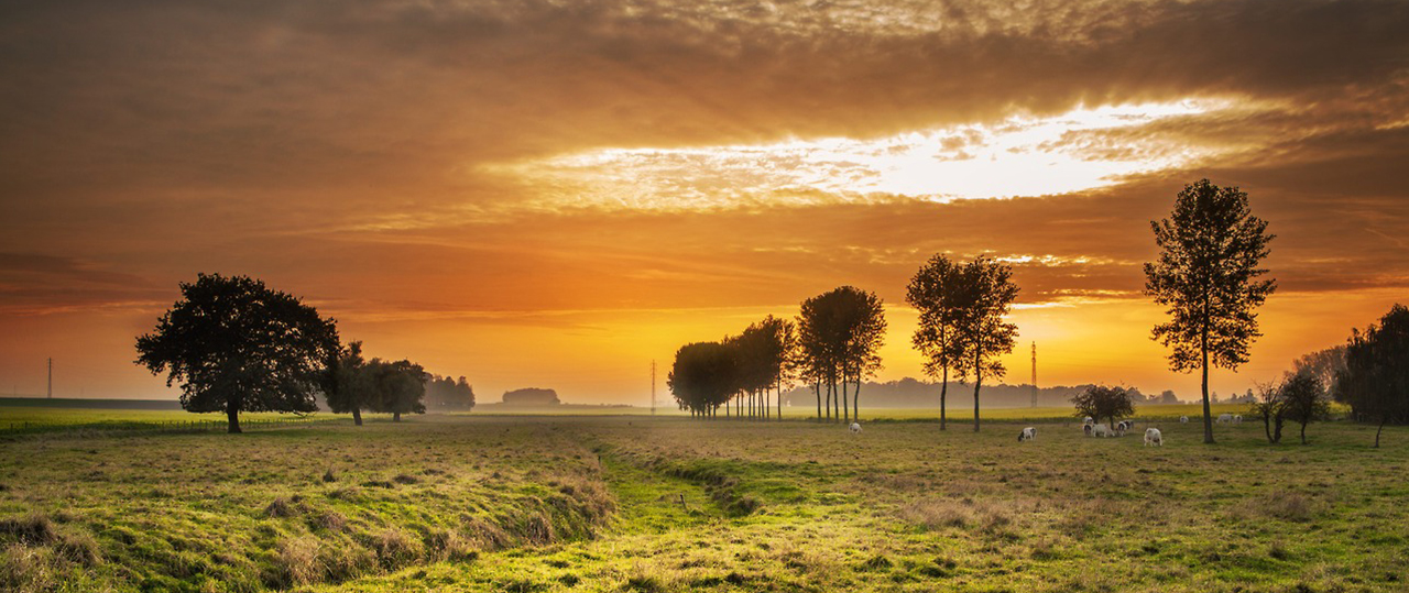 攻击网站的方法