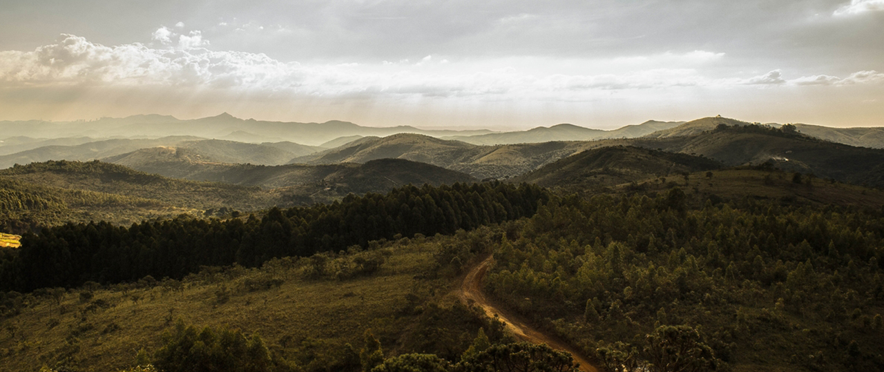 服务器攻击软件