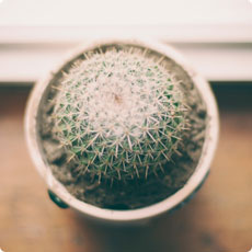 网络ddos监测分析工具