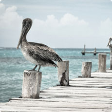 充满想象力的DDOS压力测试