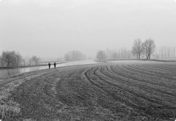 网页DDOS攻击平台