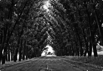 注册服务中心的免费ddos防火墙