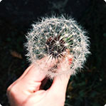 企业授权版的免费ddos防火墙